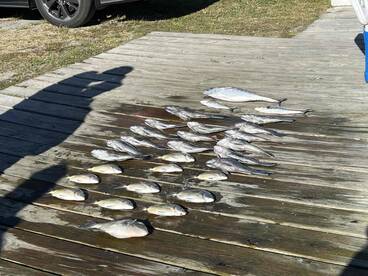 Captain and Mate worked hard yo make this a great trip