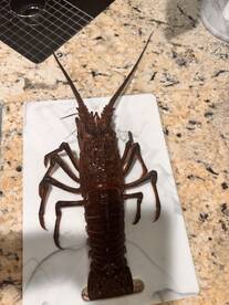 Overnight with captain Shon 