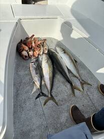 Very good experience . 