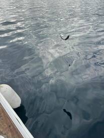 Absolutely great experience