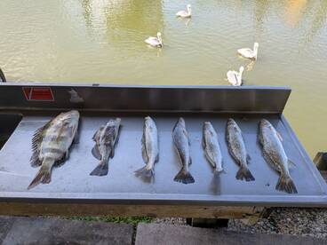 Fishing with Michael