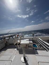 good mornings fishing 