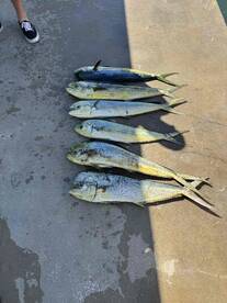 Awesome trip all around!!