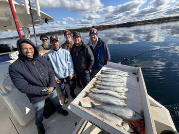 Couldn\u2019t have been better