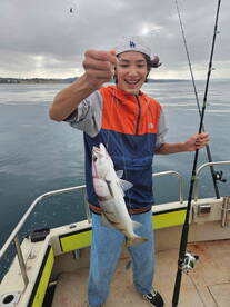 7 hour coastal trip. 