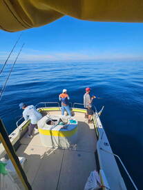 7 hour coastal trip. 