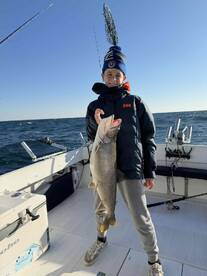 Why Knot is a NO BRAINER