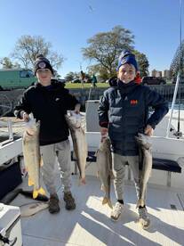 Why Knot is a NO BRAINER