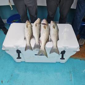 October fishing trip