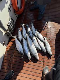 Great first time experience!