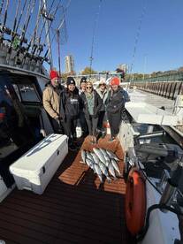 Great first time experience!