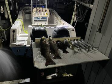 Twice and looking forward to more!!