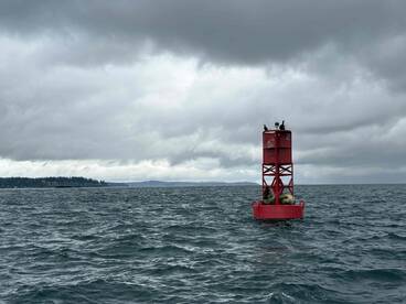 Best Birthday Trip !