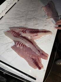 10\/10 Recommended!!