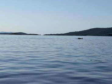 spectacular family day out