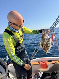 spectacular family day out