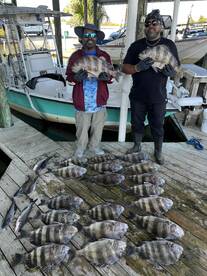 Big Sheepshead