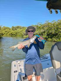 Snook and Snapper!