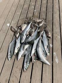 October fishing trip