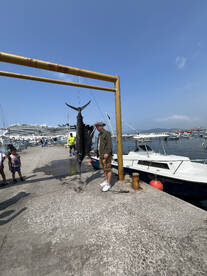 Caught my first billfish !