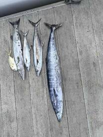 Espectacular pesca !!!