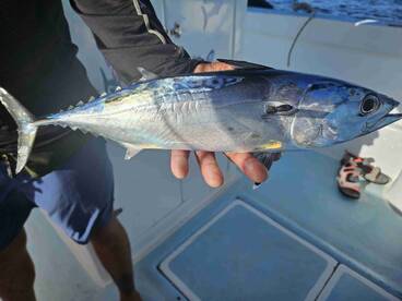 great group of guys to go with