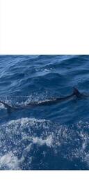 Got More Than What We Expected 