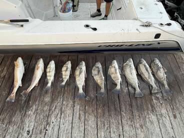 Fishing with Patrick