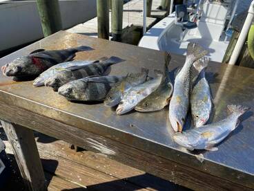 Great day with Captain Mitch