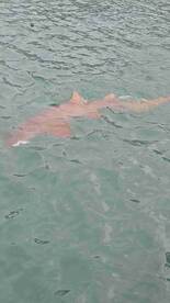 perfect day on the water!