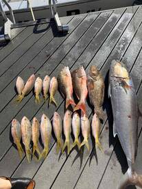 always the best time with the most courtsey crew