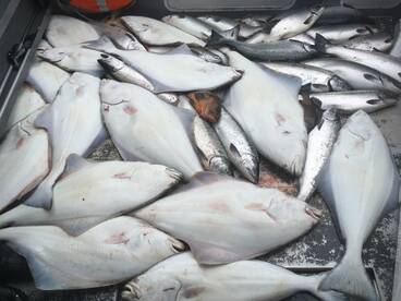 I keep going Back every year!