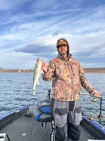 Excellent experience