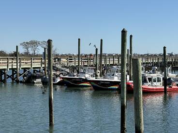 Fish Finder 3 was awesome! 