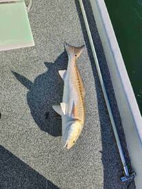 Capt Wes Pinch Hits for Captain Keith