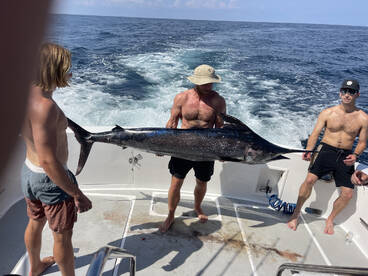 HUGE MARLIN SUCCESS