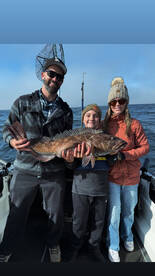 Erick Andreassen and the Big Anchovy