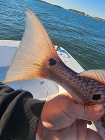 Amazing birthday trip for my husband! 