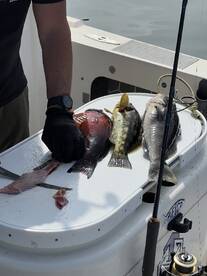 Fishing with Shannon