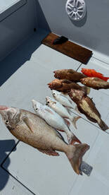 Amazing experience!, relived my teenage days 