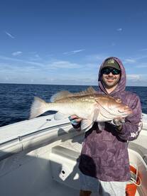 Fire Truck Red grouper 