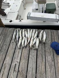 Little man had a blast