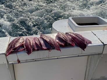 Great crew, great time