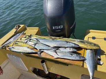 Excelente día de pesca 