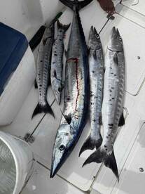 amazing trip amazing crew