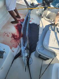 Great time with Captain Mitchell