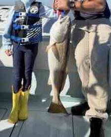 Family Friendly and Better than We Could Have Hoped