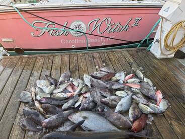 Captain and crew were excellent. They kept us on fish and helped less experienced customers perfectly.er