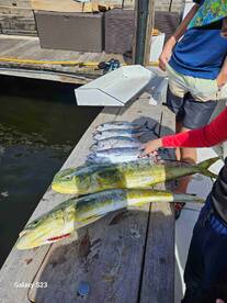 hreat familly activity