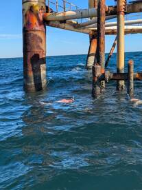 Sharks, spear fishing and fun.